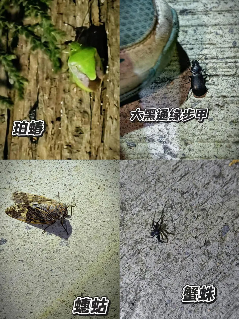 5.png