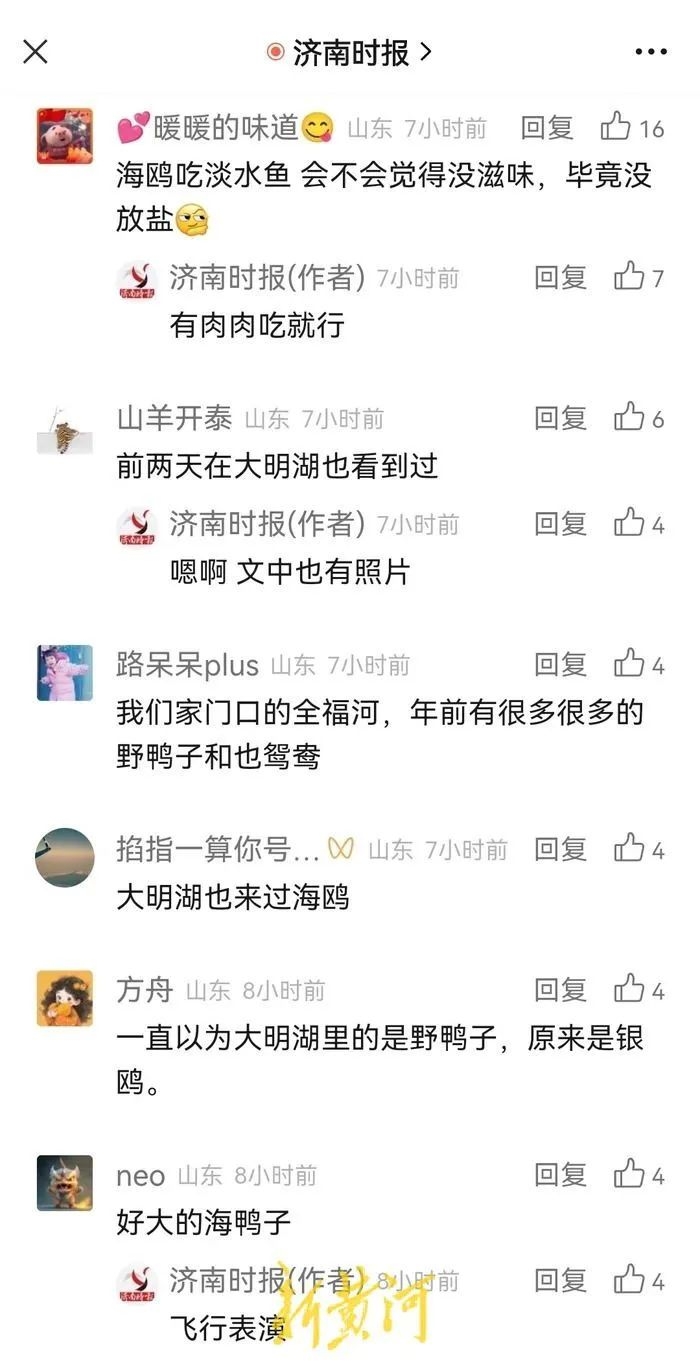 02.jpg