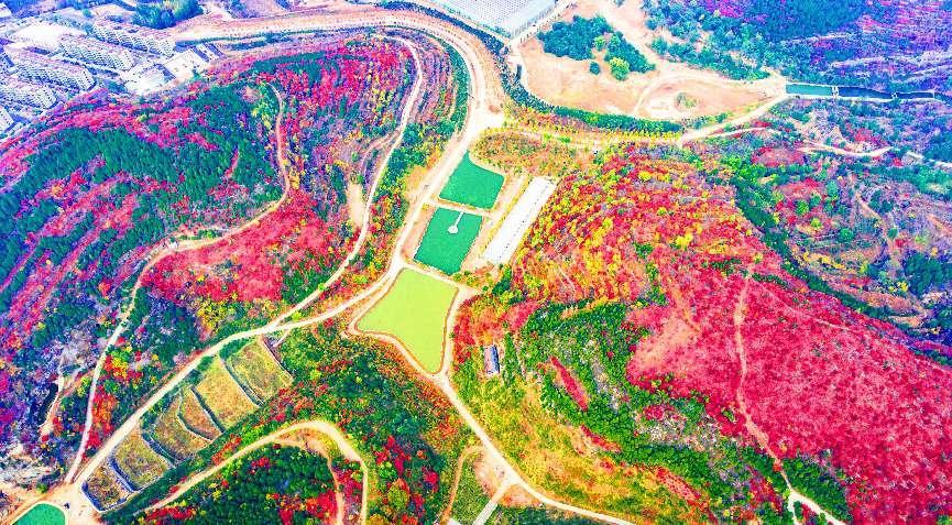 历城区芦南村获评第四批省级两山实践创新基地